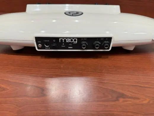 Moog - EW-THEREMINI-01 2